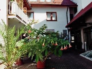 Отель Zum Loewen 4*